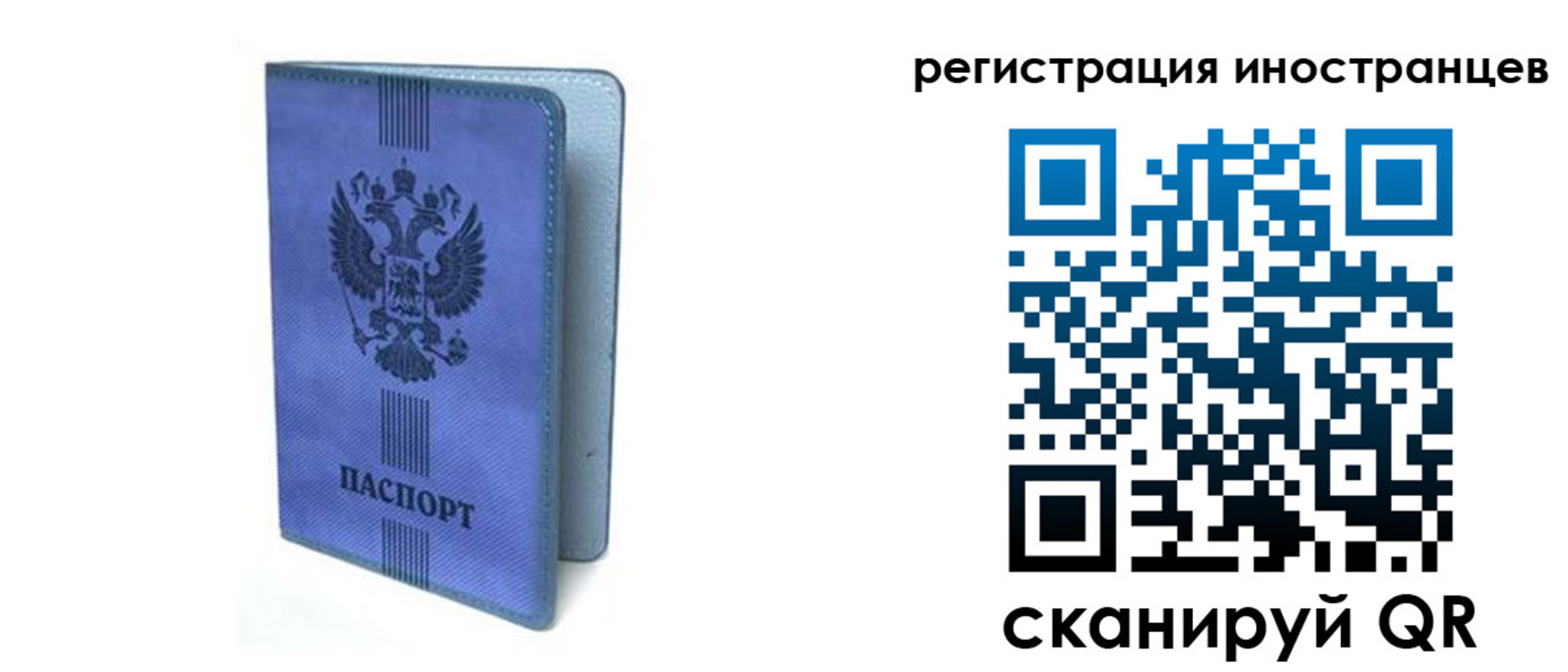 прописка ребенка в Вязьме